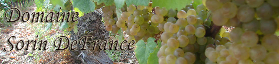 Domaine Sorin DeFrance