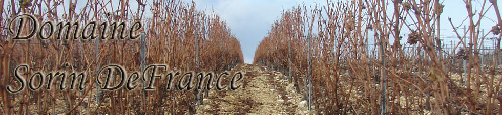 Domaine Sorin DeFrance