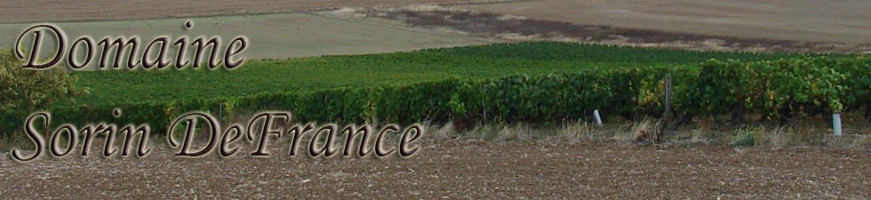 DOMAINE SORIN DE FRANCE