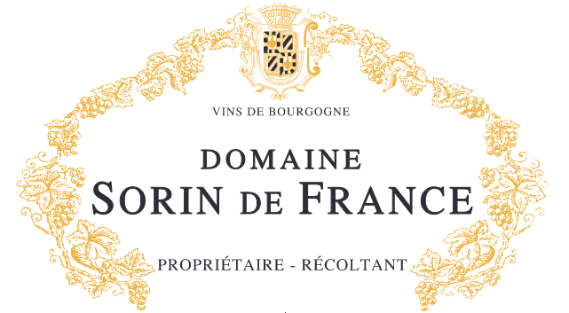 DOMAINE SORIN DE FRANCE